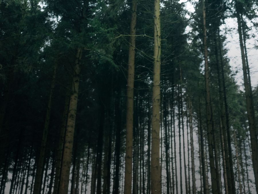 Equipment Care products